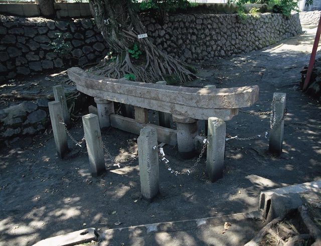 Kurokami Buried Torii