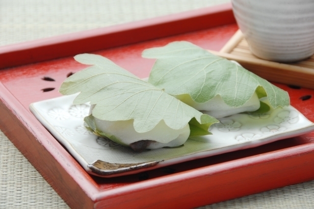 Kashiwa-mochi