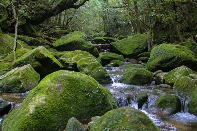 Shiratani-unsuikyō Ravine